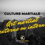 Art martial externe interne waijia neijia différences kung-fu wushu